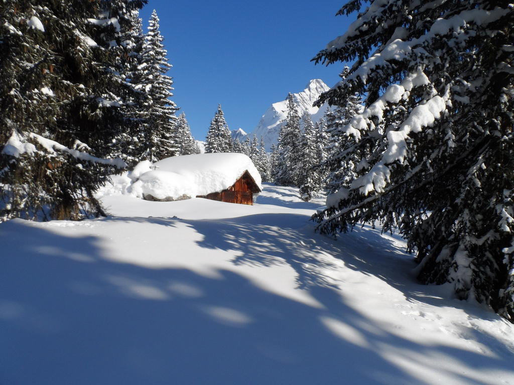 Haus Brunneck Warth (Vorarlberg) Exterior foto